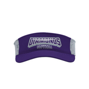 Visor
