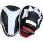 boxing gloves Sports & Outdoors Boxing, punching Gloves