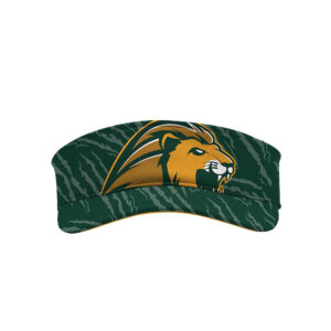 Visor