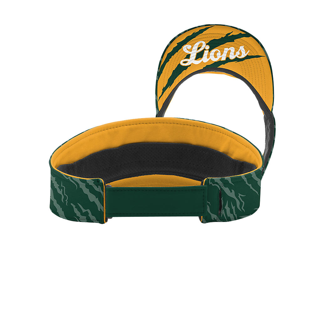 Visor