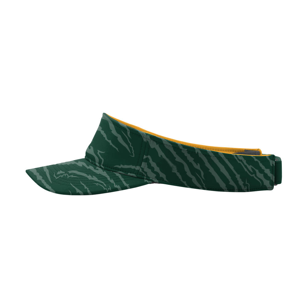 Visor