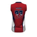 Softball Jersey