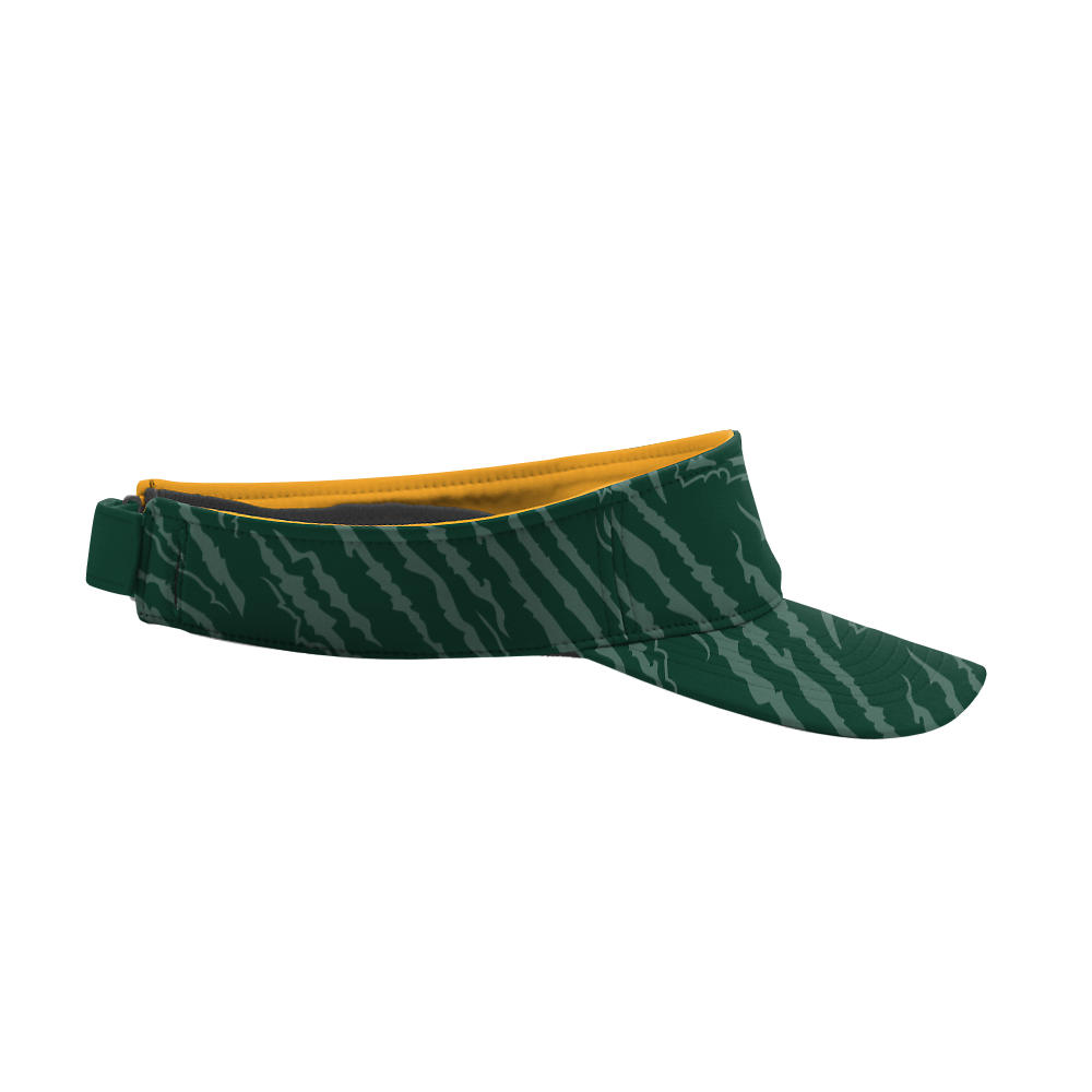 Visor