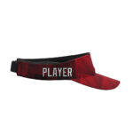 Visor