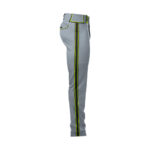 Baseball Pants