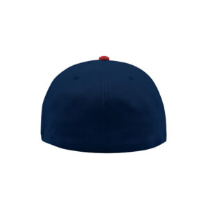BM-HAT-DBFL-ELITE-UP8bU5vXMzQ1_alt_1-1.jpg