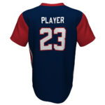 Baseball V Neck Jersey