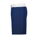 Wrestling Fight Shorts