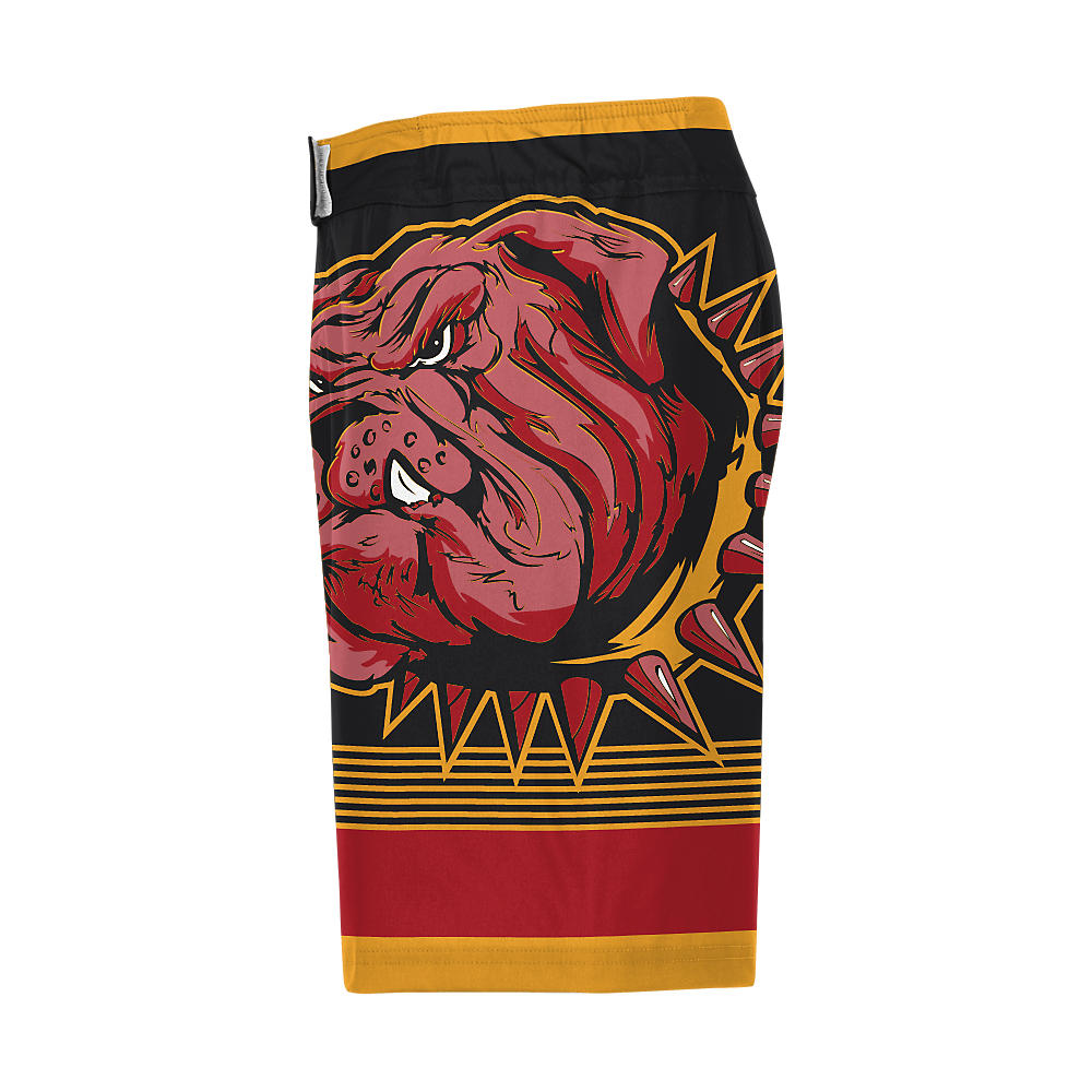 Wrestling Fight Shorts