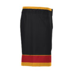 Wrestling Fight Shorts