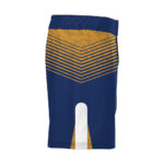 Wrestling Fight Shorts