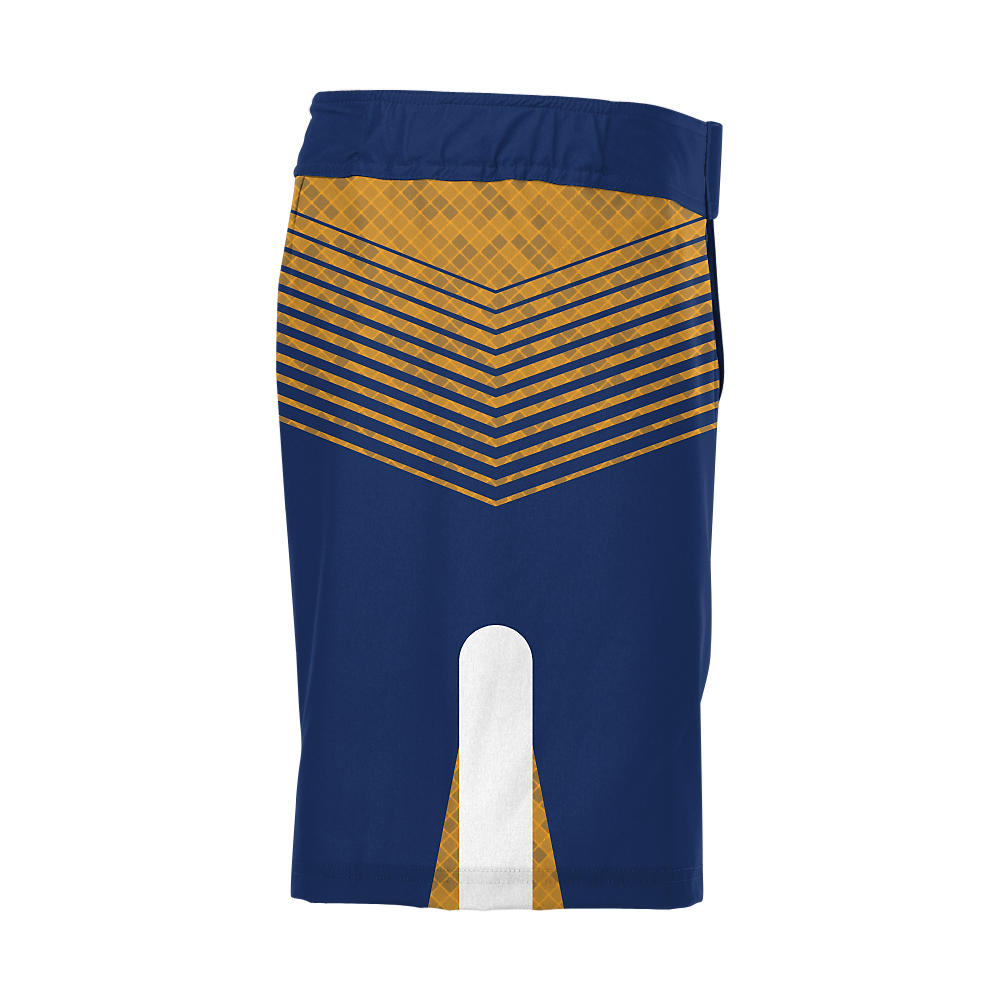 Wrestling Fight Shorts