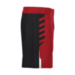 Wrestling Fight Shorts